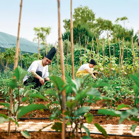 Tui Magic Life Jacaranda 酒店 锡德