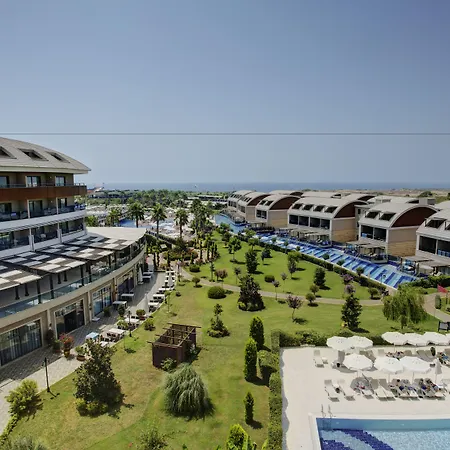 Tui Magic Life Jacaranda 5* シダ