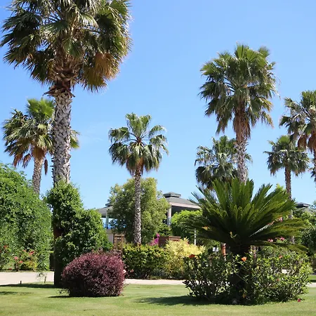 Hotel Tui Magic Life Jacaranda Side