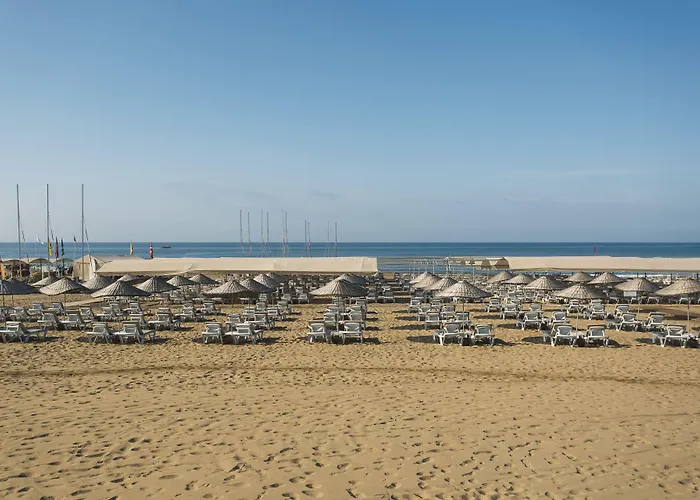 Tui Magic Life Jacaranda 5* Side