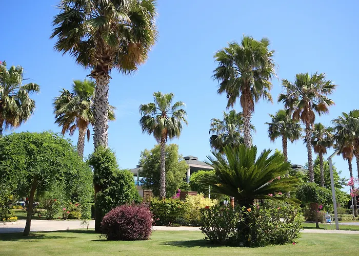 Hotell Tui Magic Life Jacaranda Side