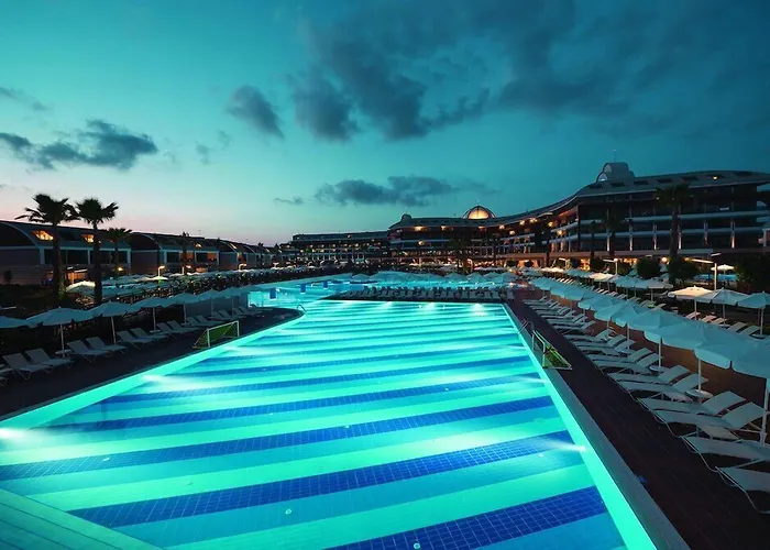 Tui Magic Life Jacaranda